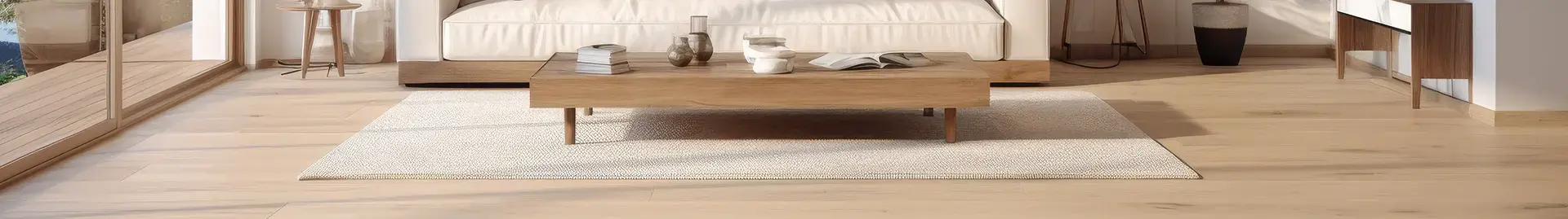Carpet Cleaning Services
