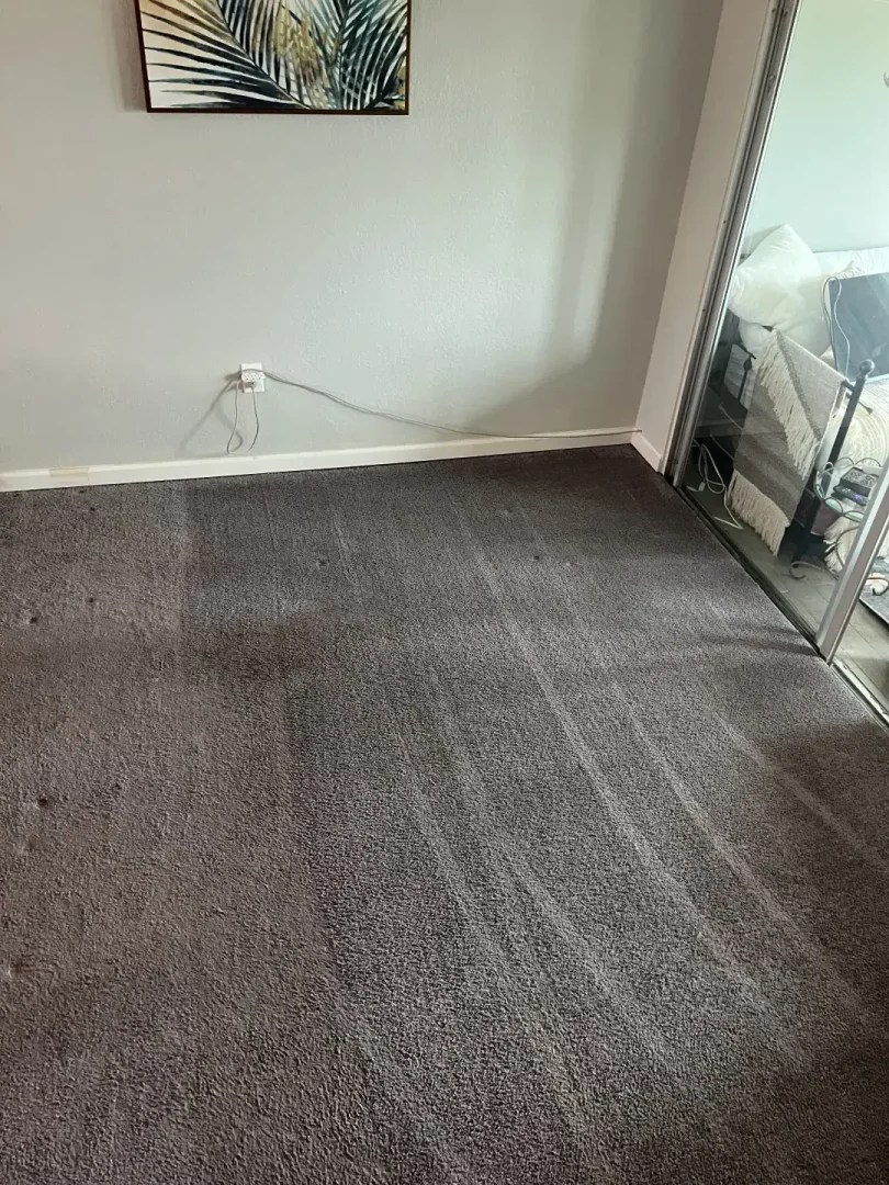How Did Professional Carpet Cleaning Restore This Home in Dunedin, FL? Gray bedroom carpet with visible cleaning lines beside mirrored closet doors