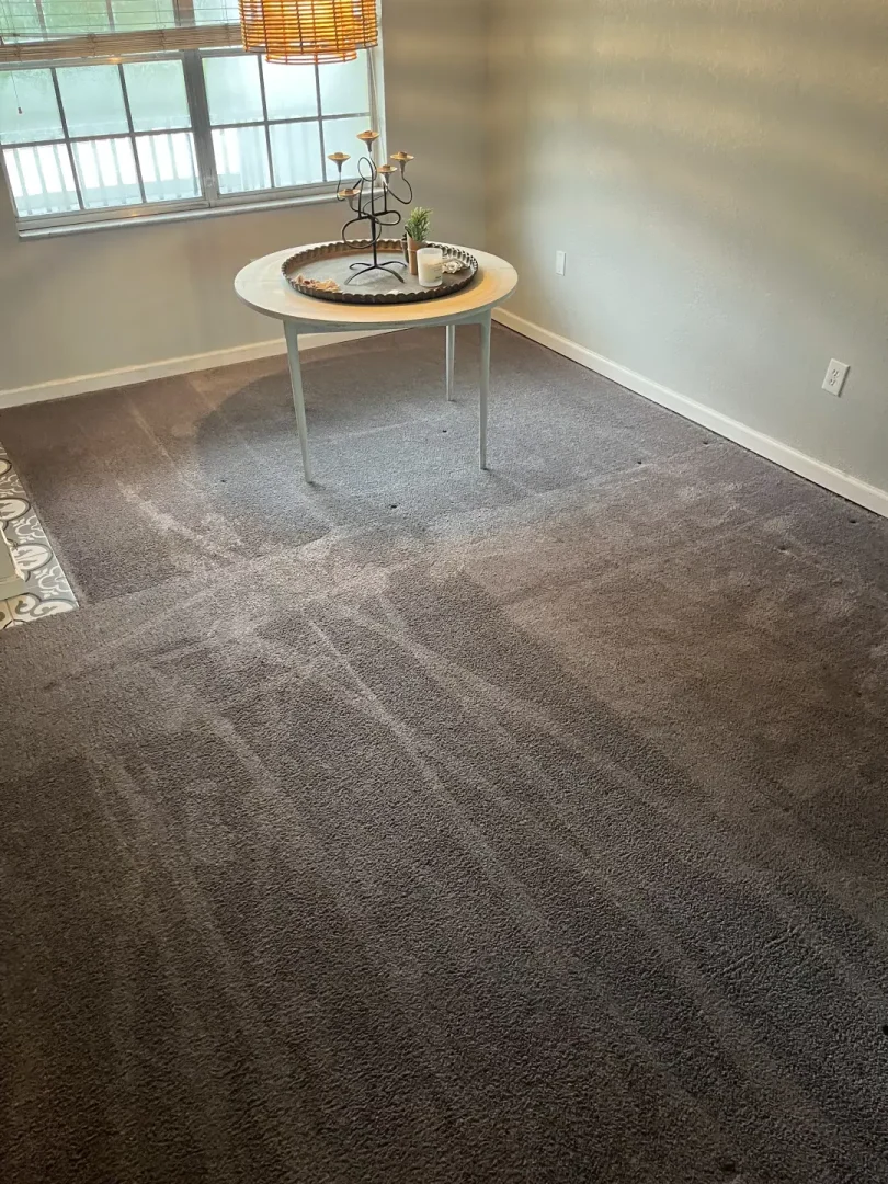 How Did Professional Carpet Cleaning Restore This Home in Dunedin, FL? Freshly vacuumed gray carpet in a dining room with a round white table by the window