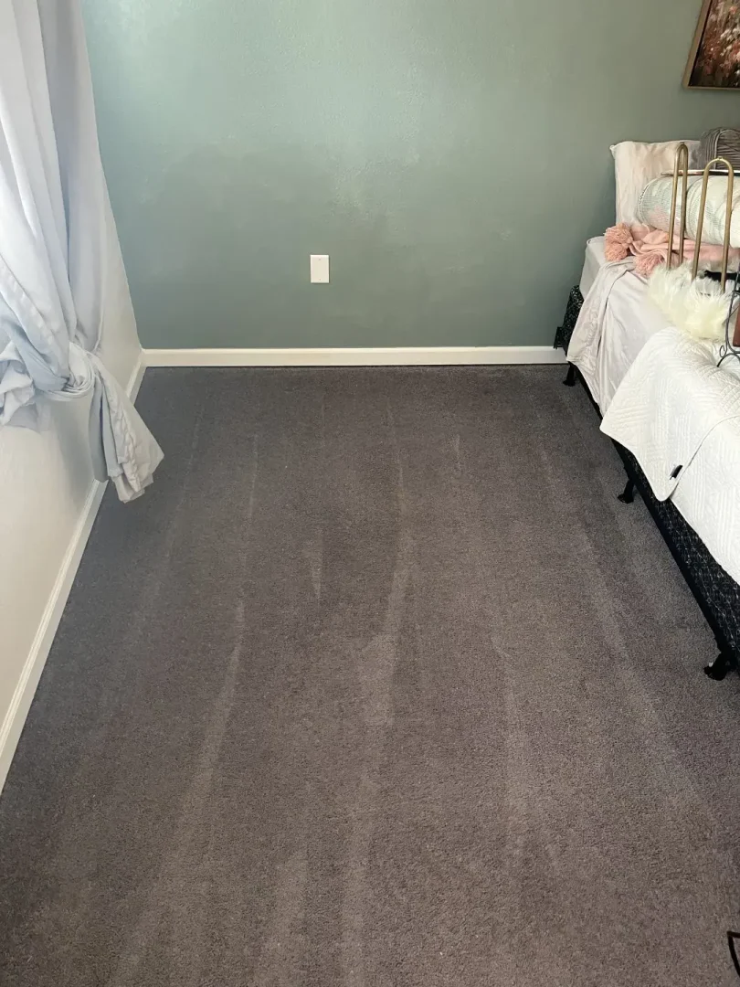 How Did Professional Carpet Cleaning Restore This Home in Dunedin, FL? Gray bedroom carpet with vacuum lines beside a white bed and tied-back curtains