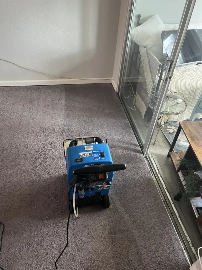 How Did Professional Carpet Cleaning Restore This Home in Dunedin, FL? Blue carpet cleaning machine on gray carpet beside a sliding glass door in a home
