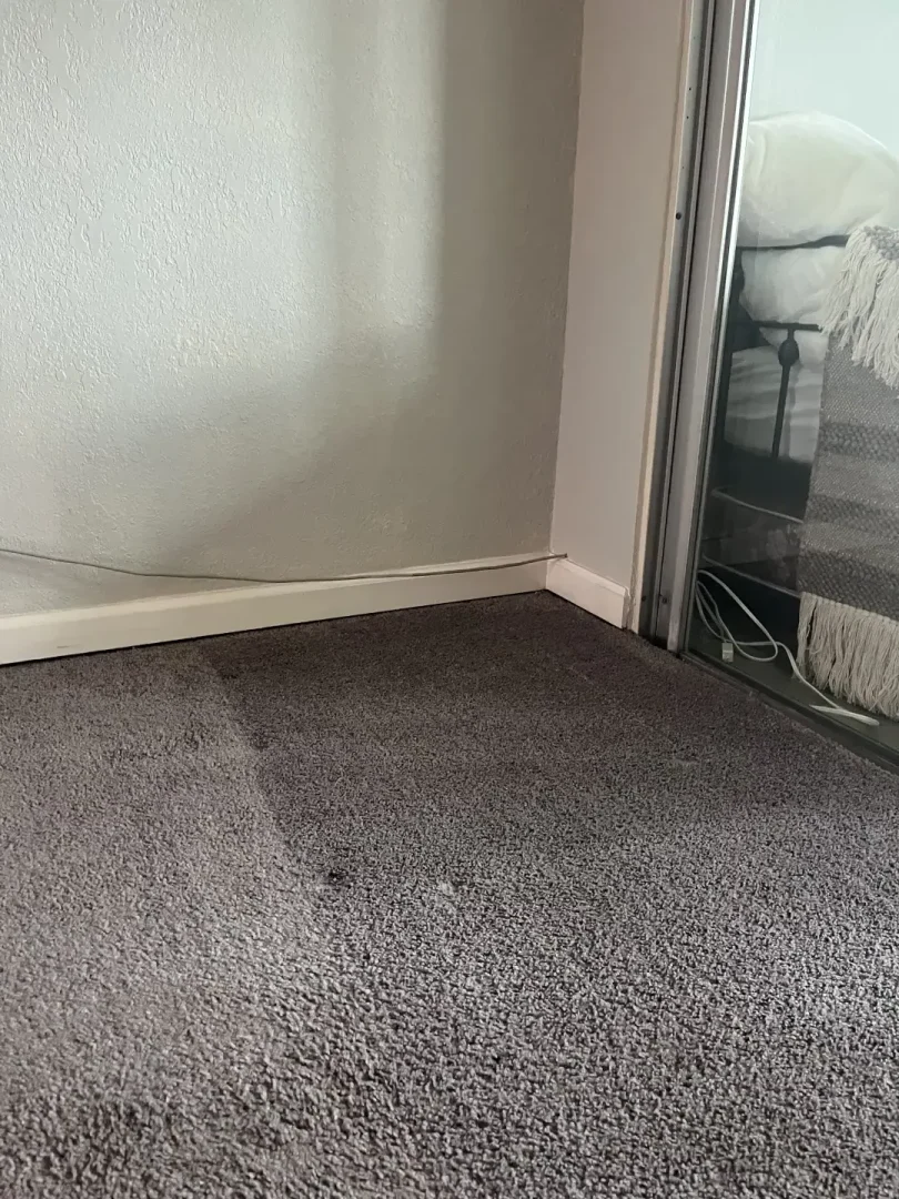 How Did Professional Carpet Cleaning Restore This Home in Dunedin, FL? Gray carpet in a bedroom corner beside white baseboards and a mirrored closet door