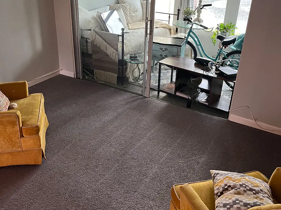 How Did Professional Carpet Cleaning Restore This Home in Dunedin, FL?